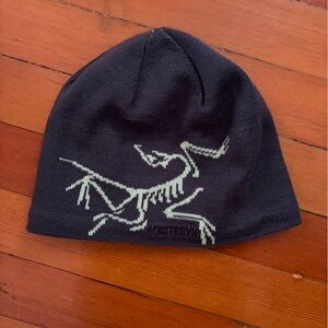 Arc’teryx Birdhead Toque / Ski beanie
